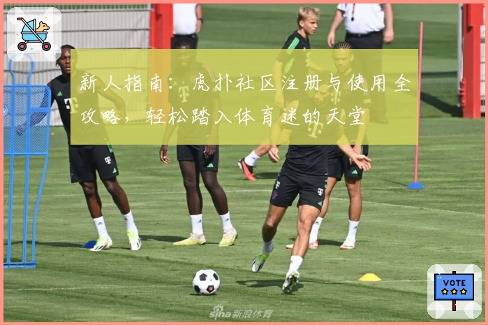 新人指南：虎扑社区注册与使用全攻略，轻松踏入体育迷的天堂